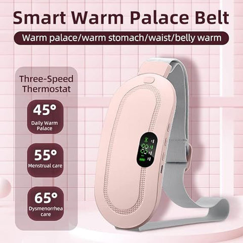 Heated Electric Waist Belt